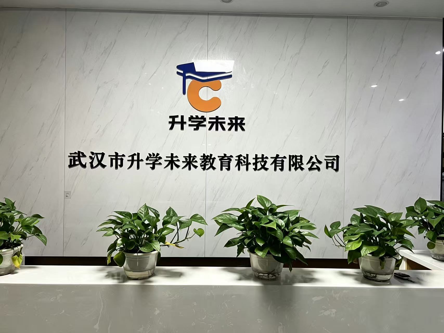 文章插图