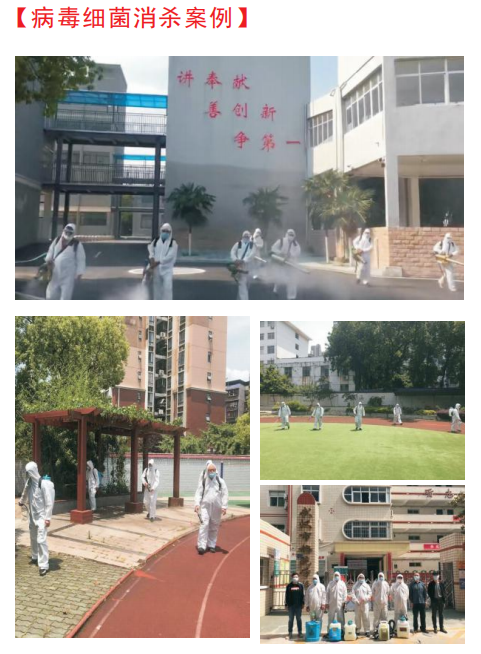文章插图